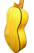 Cargar imagen en el visor de la galería, Marce FLAMENCO 1