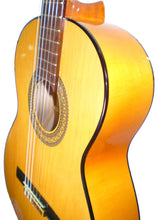 Cargar imagen en el visor de la galería, Marce FLAMENCO 1