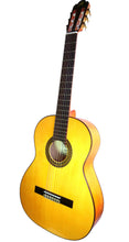 Cargar imagen en el visor de la galería, Marce FLAMENCO 2